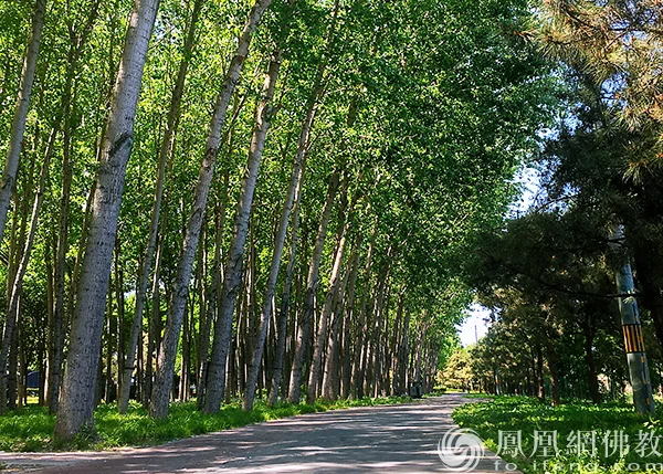 图片来源：凤凰网佛教文化 摄影：闫秀勇