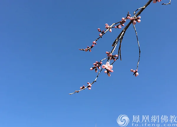 图片来源：凤凰网佛教文化 摄影：闫秀勇