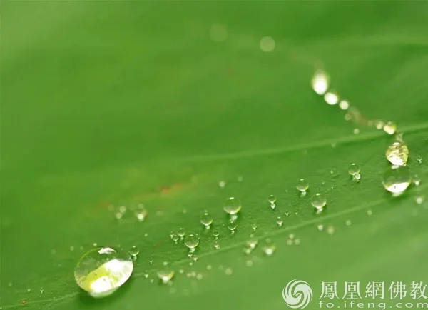 图片来源：凤凰网佛教文化 摄影：十愿