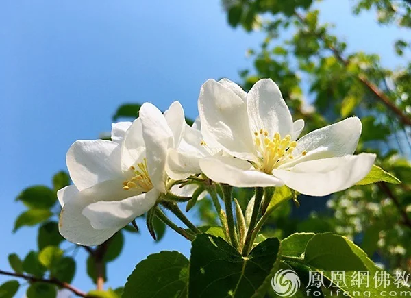 图片来源：凤凰网佛教文化 摄影：闫秀勇