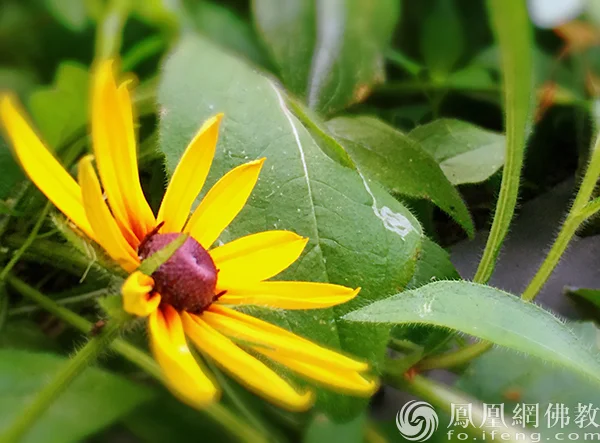 图片来源：凤凰网佛教文化 摄影：闫秀勇