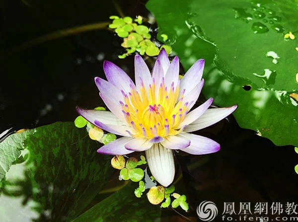 图片来源：凤凰网佛教文化 摄影：闫秀勇