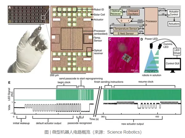 全球最小全自主可编程机器人诞生：接近细菌尺度 成本仅1美分