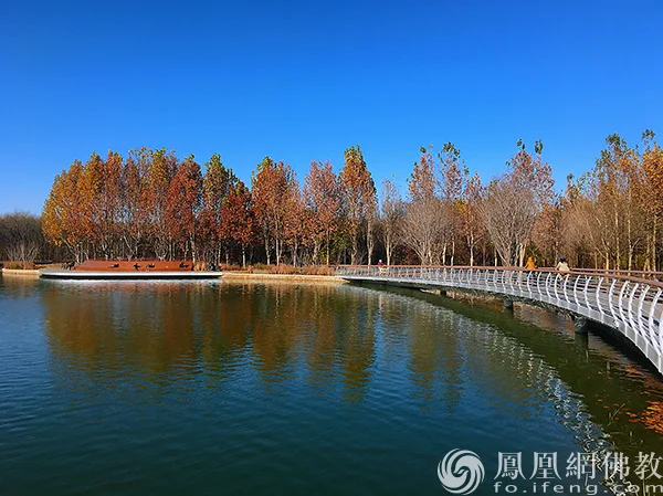 图片来源：凤凰网佛教文化 摄影：闫秀勇