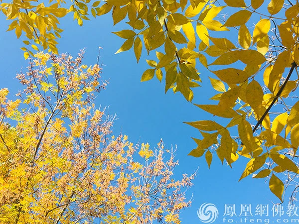 图片来源：凤凰网佛教文化 摄影：闫秀勇