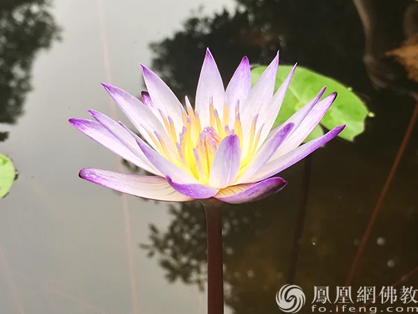 图片来源：凤凰网佛教文化 摄影：闫秀勇