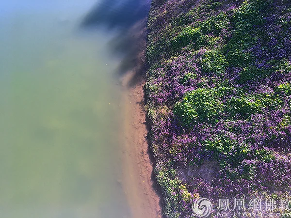 图片来源：凤凰网佛教文化 摄影：闫秀勇