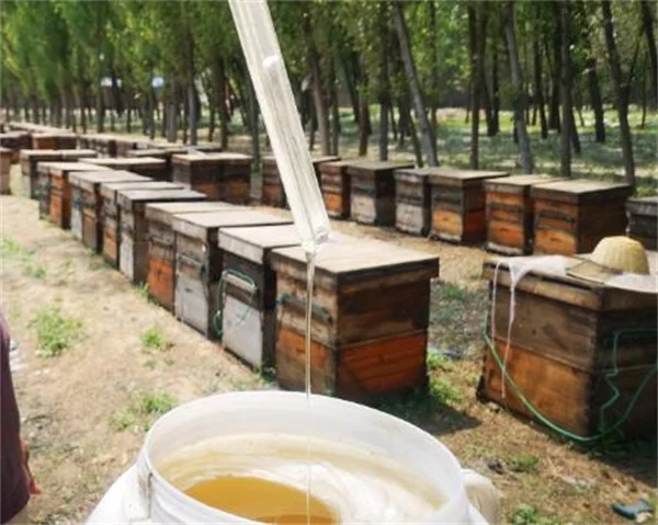 牛奶加蜂蜜能减肥吗?牛奶和蜂蜜可以一起喝吗?-牛奶加蜂蜜能减肥吗?牛奶和蜂蜜可以一起喝吗