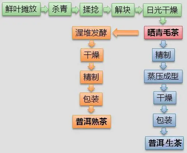 普洱生茶和熟茶的区别-普洱生茶和熟茶的区别是什么?弄懂这4点就够了......