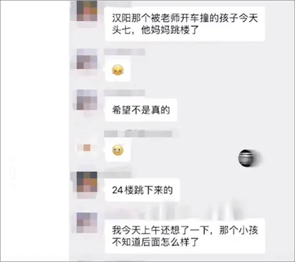 武汉被撞身亡小学生母亲遭遇网友恶评，多平台发布相关账户治理公告-武汉撞车事件