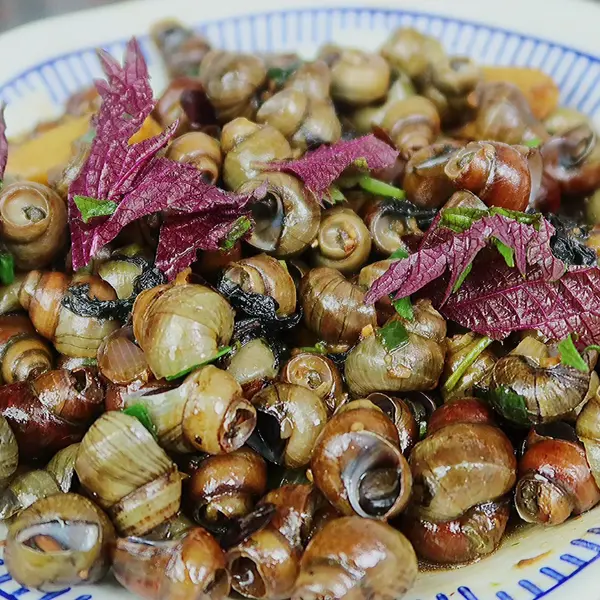 紫苏和味炒螺，广东传统美食，宵夜档的灵魂，小时候没肉食的时候这就宝，妈妈经常炒着吃，加上紫苏就最和味_哔哩哔哩_bilibili