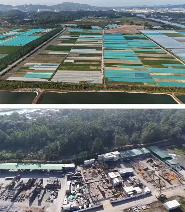 融通潼湖农场内草卷种植和建材堆场航拍图。受访者供图