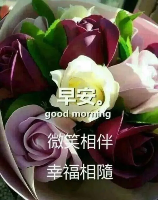 2019最新版早上好短信问候祝福语录大全，早晨好温馨祝福语录图片表情-早上好的问候句子短语