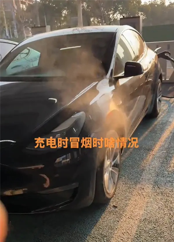 一特斯拉Model Y夜间充电时冒出白气：非起火前兆、无须担心
