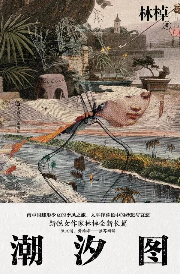 《潮汐图》，林棹 著，上海文艺出版社