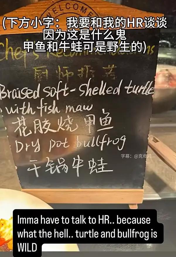 美国网球选手公开吐槽中国菜：牛蛙不是有毒吗？这些菜我只能打2分_https://www.izongheng.net_体育_第4张