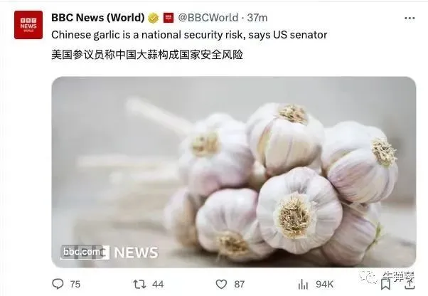 美国参议员指控：中国大蒜构成重大国家安全风险