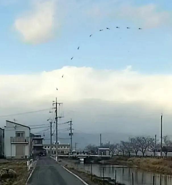 失事阿帕奇自200米高空坠地,用时仅3秒,图片根据视频多帧合成。