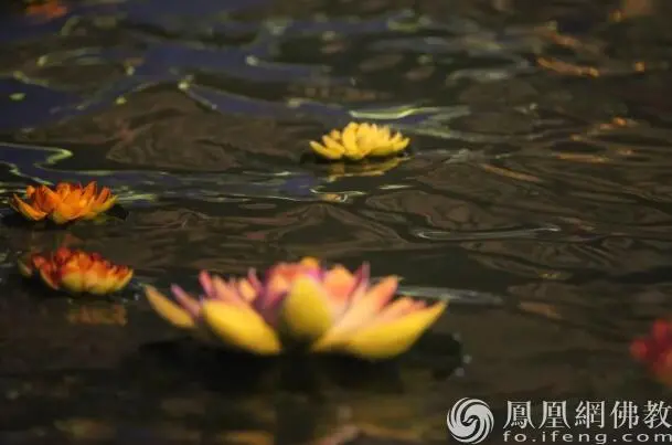 图片来源：凤凰网佛教文化 摄影：十愿