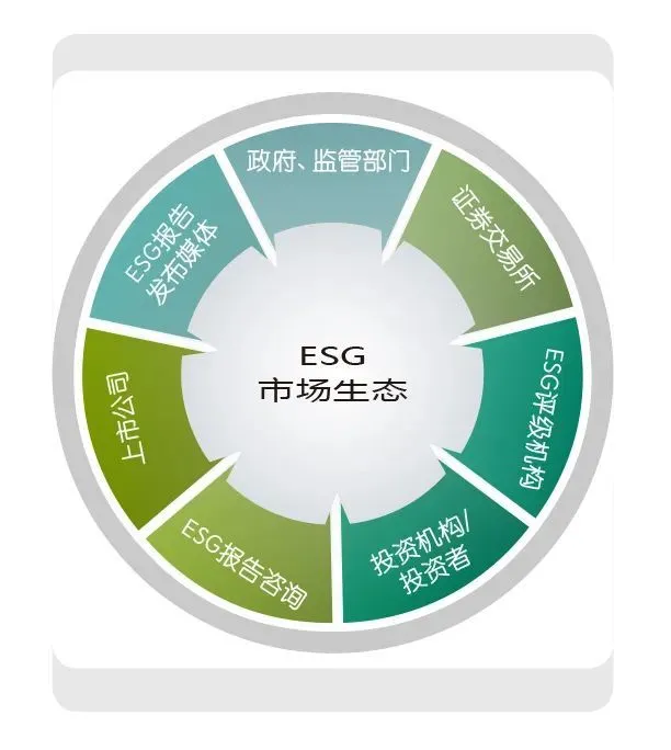 ESG，“三体”治理模式——环境、社会和公司治理标准实验