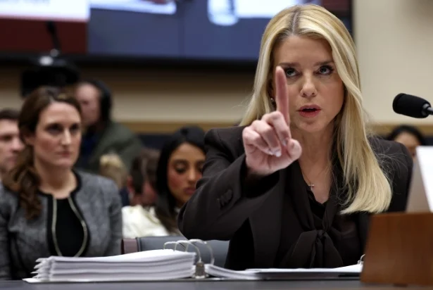 ��֤���ϣ���˾��������쭣���Цʲô