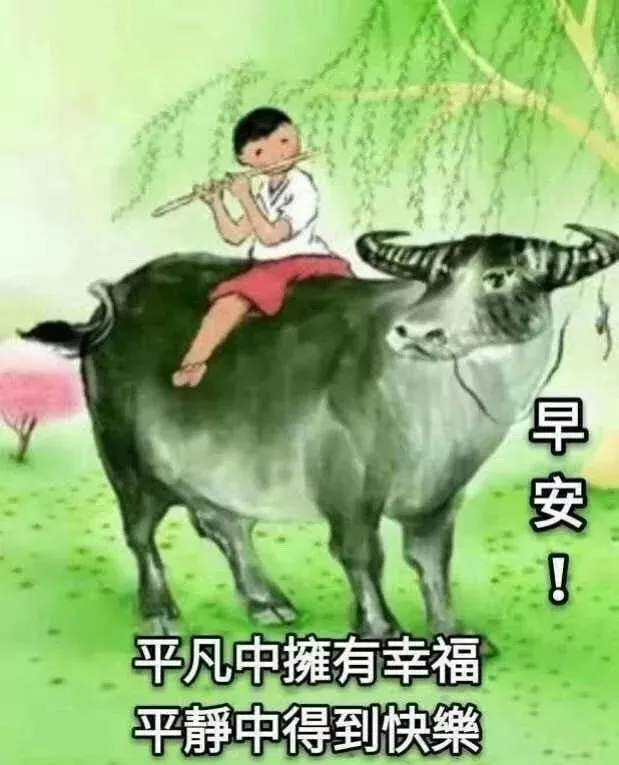 2019最新版漂亮早上好动态美图表情，朋友圈早上问候大家阳光暖心祝福语-早晨好动态图片大全 早上好问候语动态图