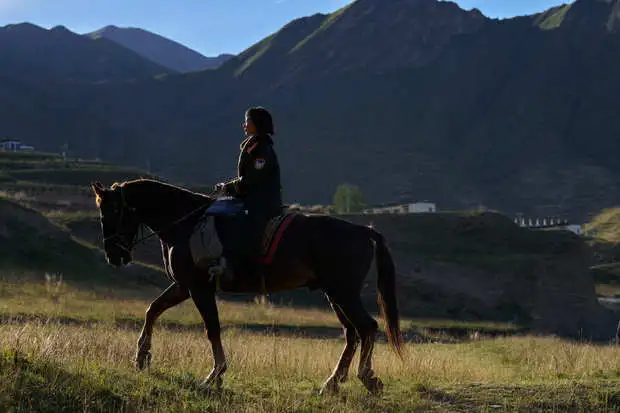 搜狐娱乐讯 近日，杨紫释出新剧角色剧照，军绿制服与牛仔造型切换，神态细腻感染力强。