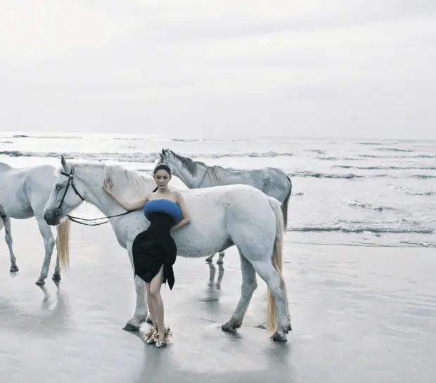 杨幂在海边与白马互动,简约造型衬得神态松弛自然。