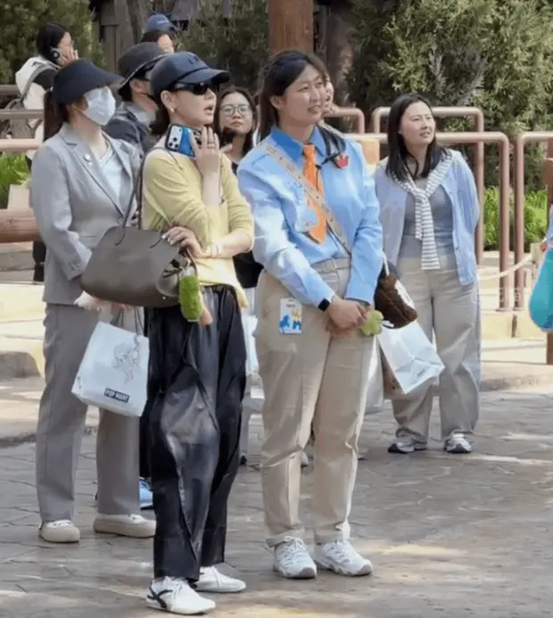 搜狐娱乐讯 近日，戚薇带儿子逛乐园，3岁Seven戴着口罩墨镜遮脸，跟在妈妈身旁很是乖巧。 