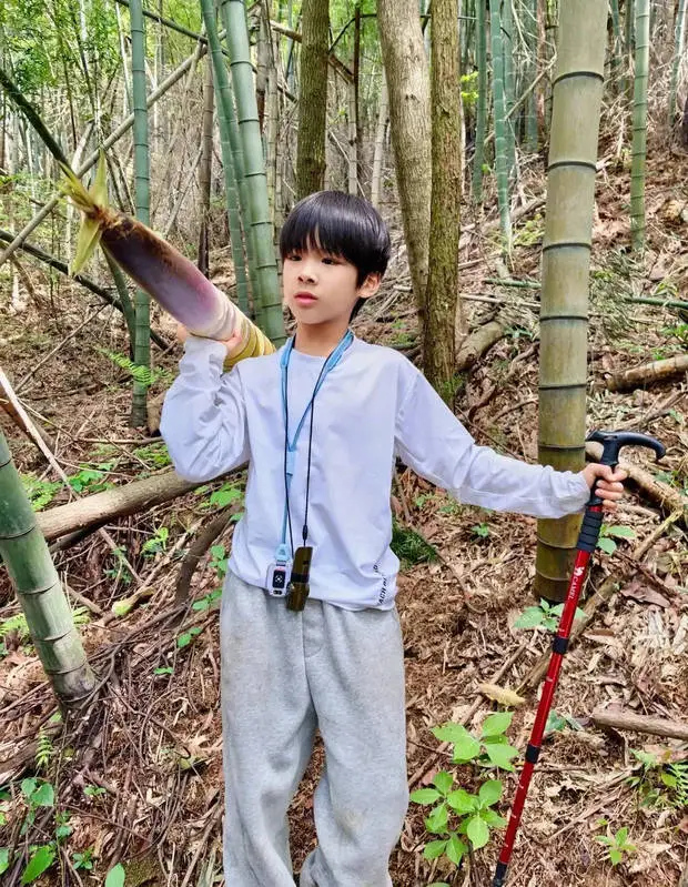 黄圣依小儿子安麟近照曝光，帅气又可爱。
