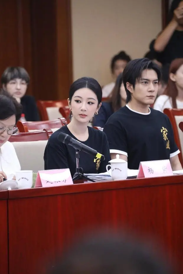 交流分享环节中,杨紫谈及自身创作初衷,希望通过角色演绎,让观众看到徽墨背后的匠心与中国人“家”文化的传承。