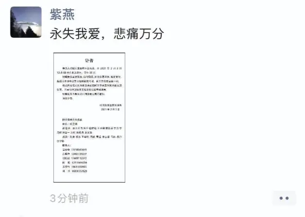 张昭治丧委员会名单公布：张艺谋任组长，贾跃亭韩三平在列-张昭啥病