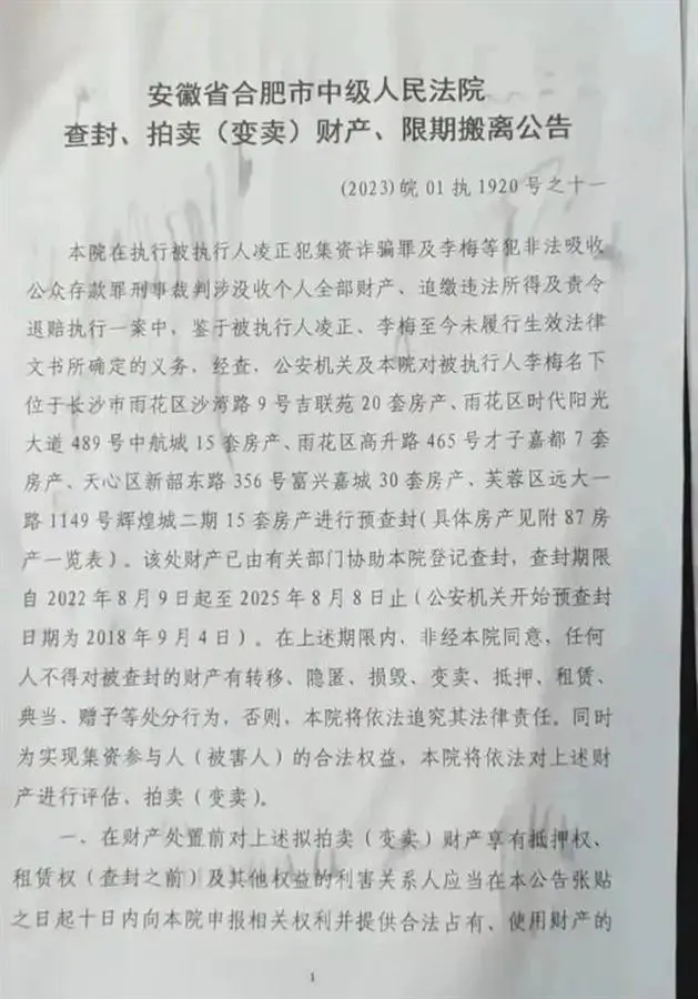 女子长沙87套房被法院拍卖，合肥还有90套，她何许人也？