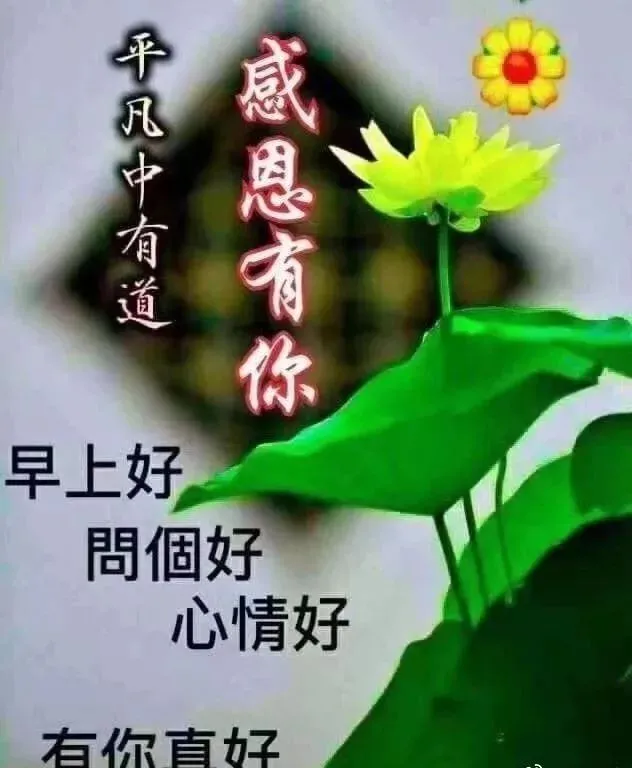 8月26日周一早上好问候语录，阳光暖心的早安问候句子-8月26号早上好