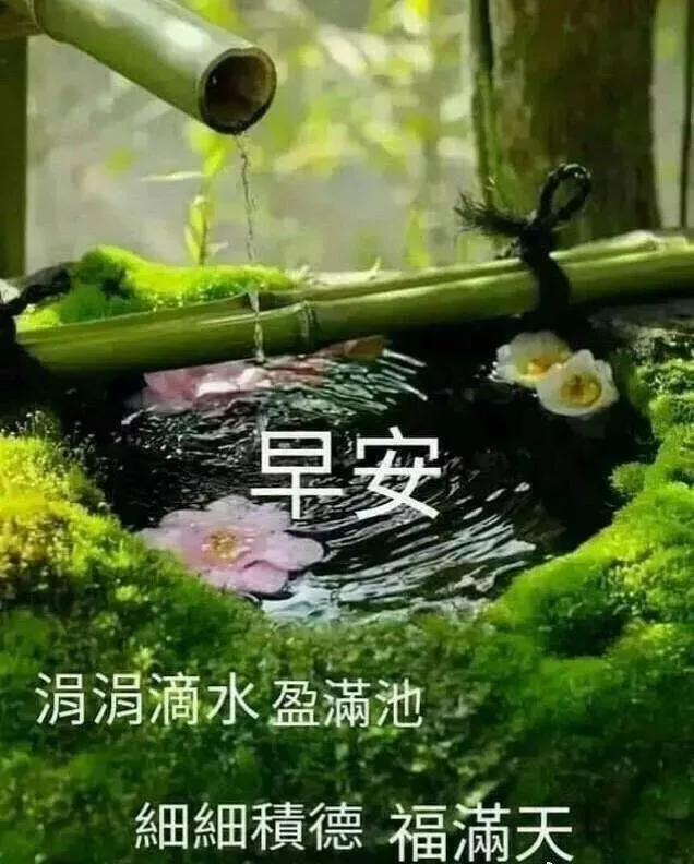 每日群发早上好温馨漂亮祝福语美图，早安带字带祝福语图-群发早上祝福语