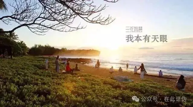 西贝贾老板缴超千万学费的4位老师是什么来头？_https://www.izongheng.net_快讯_第6张