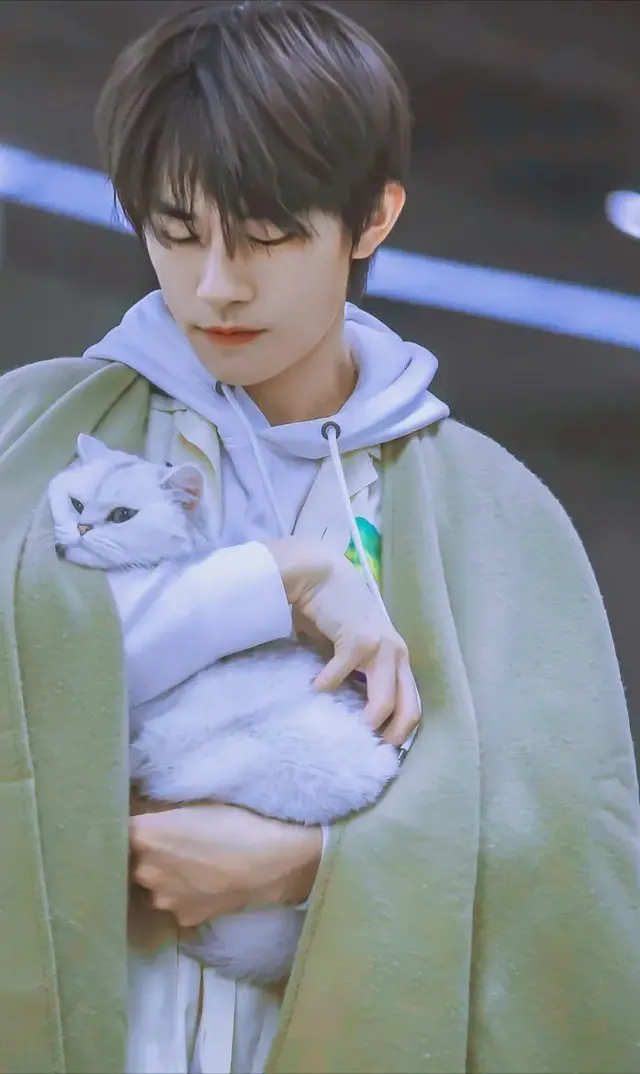 胡军代言的悟空理财翻车:涉及390亿 百花奖取消提名(图6)