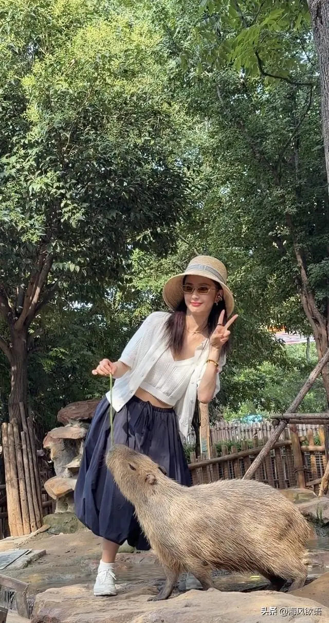 图片来源于网络