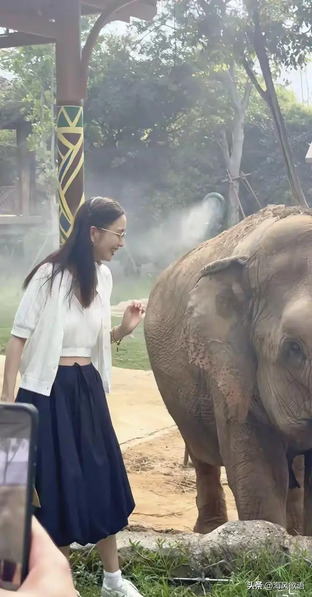 图片来源于网络