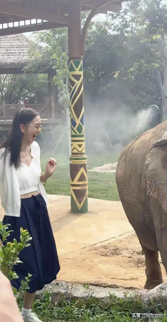 图片来源于网络
