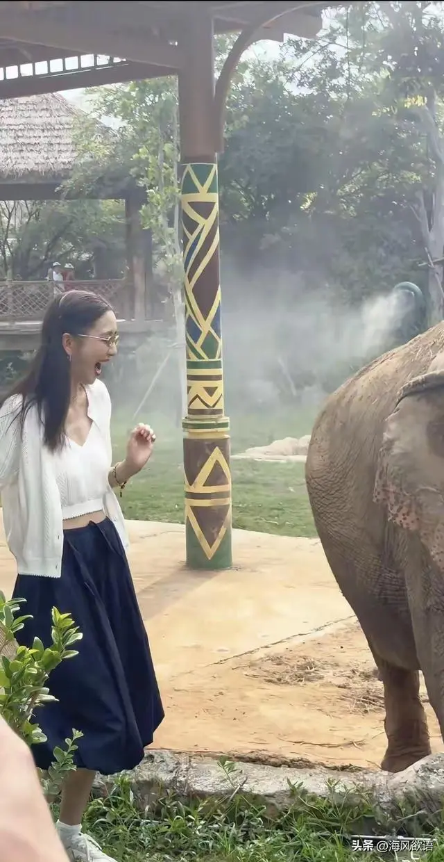 图片来源于网络