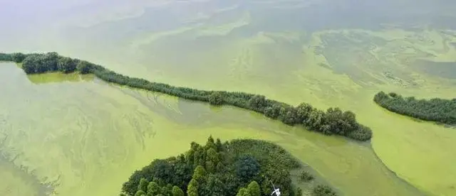 我国最大的淡水湖（我国最大的淡水湖位于江西的什么湖） 第7张