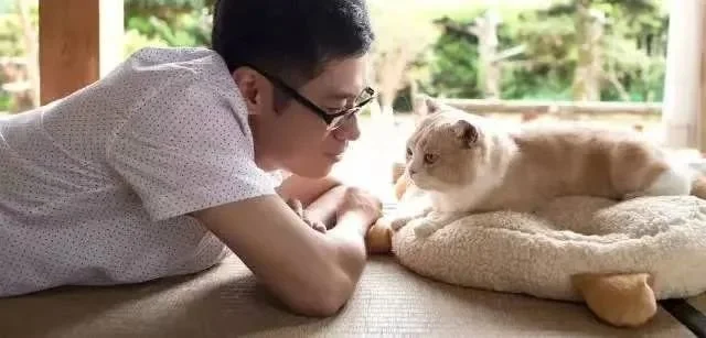 《猫咪后院之家》剧照