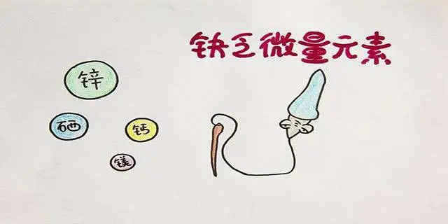 长期不孕，也可能是男性的原因，少精！无精！死精！该如何治疗？-无精症如何怀孕