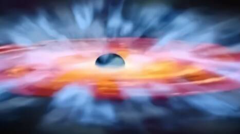 国外网友嗨了：欢迎“鸿蒙”！