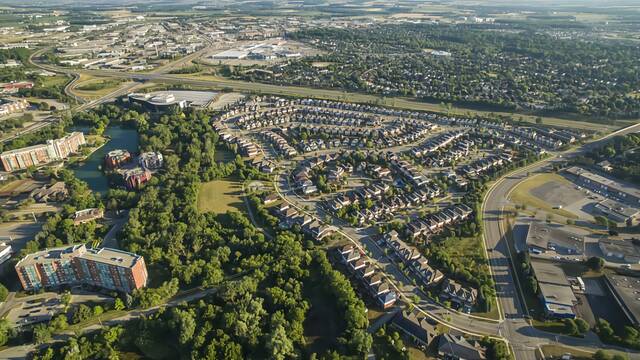 硅谷服下“蒙汗药”