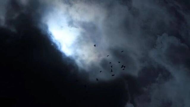 公开通报、辞退多人、移送司法……互联网巨头“反贪风云”进行时