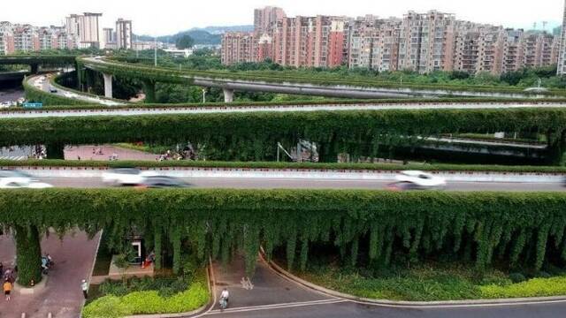 福州：立交桥穿上“绿衣”