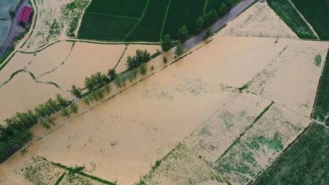 江西洪涝：航拍农田受灾情况