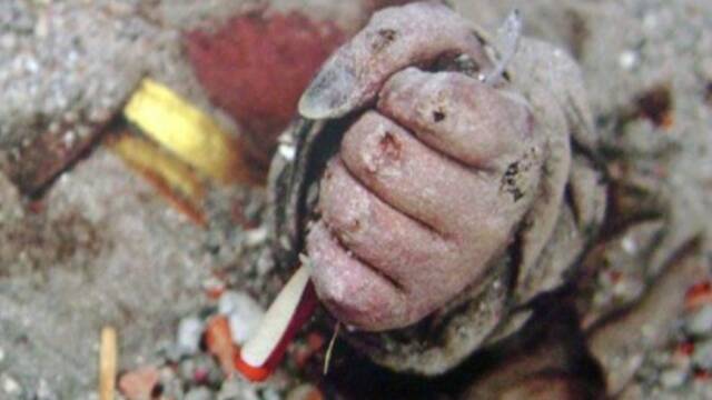 缅怀逝者 致敬重生